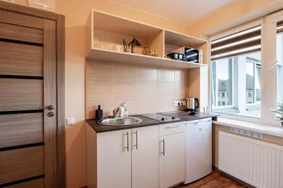 a small kitchen with a sink and a window at Small Studio Apartment in Kaunas