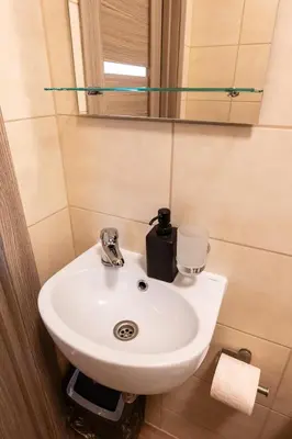 a bathroom with a white sink and a mirror at Small Studio Apartment in Kaunas