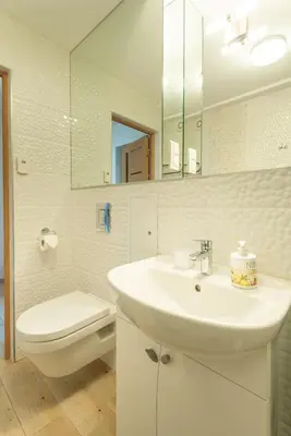 a bathroom with a sink and a toilet and a mirror at Park apartment in Druskininkai