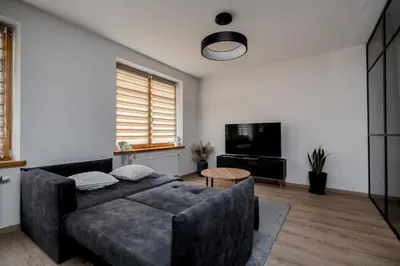 a living room with a couch and a flat screen tv at Central Location I Private Garage Parking & Easy Checkin I Cᴏʜᴏsᴛ in Vilnius