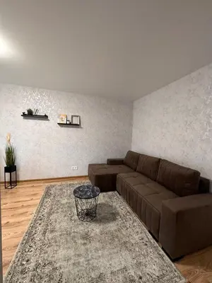 a living room with a brown couch and a rug at MB BENO TRUMPALAIKE NUOMA BUTUKAs in Kėdainiai
