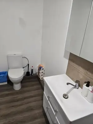 a white bathroom with a toilet and a sink at Draugų sodyba