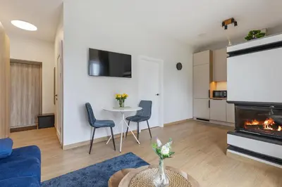 a living room with a fireplace and a table and chairs at Niwaki Sodai No 2 by URBAN RENT in Vilnius