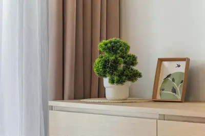 a potted plant sitting on a shelf next to a window at Niwaki Sodai No 2 by URBAN RENT in Vilnius