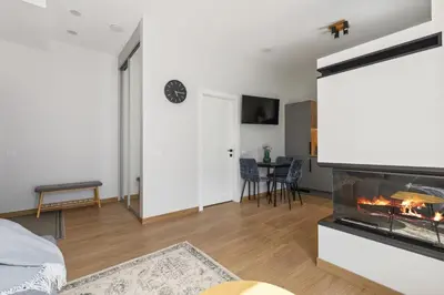 a living room with a fireplace and a couch at Niwaki Sodai No 3 by URBAN RENT in Vilnius