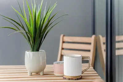 a table with a plant in a vase on it at Nemunas A respite Studio 8 in Druskininkai