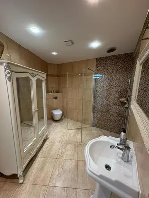 a bathroom with a shower and a sink and a toilet at Classic Style Apartment in Kelmė