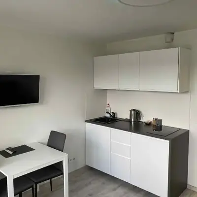 Vilnius Apartment with Balcony