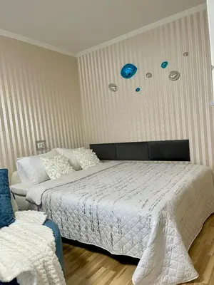 a bedroom with a large bed with blue plates on the wall at Dani apartment in Panevėžys