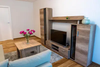 a living room with a tv and a table with flowers at Saulės laikrodžio apartamentai in Šiauliai