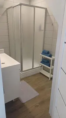 a bathroom with a shower and a sink at Lake apartments in Rokiškis