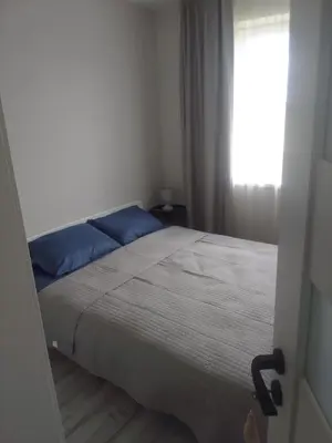 a bedroom with a bed with blue pillows and a window at Buto nuoma Druskininkuose in Druskininkai