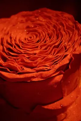 a red cake with red frosting on top of it at GP Hostel in Šiauliai