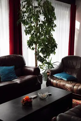a living room with two leather couches and a table at GP Hostel in Šiauliai
