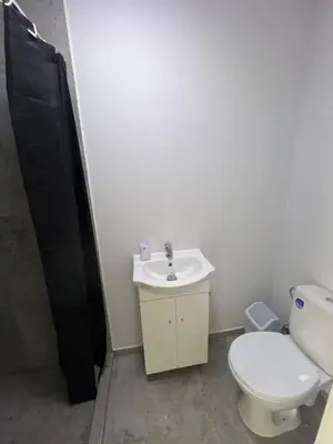 a bathroom with a toilet and a sink at Pušų Sodas in Birštonas