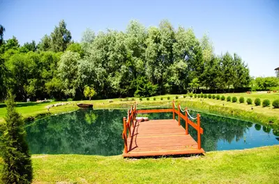 a wooden bridge over a pond in a park at Sodyba Gluosnis
