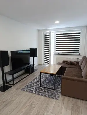 a living room with a couch and a coffee table at Alytus Miško studio in Alytus