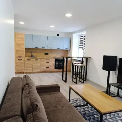 Alytus Miško studio