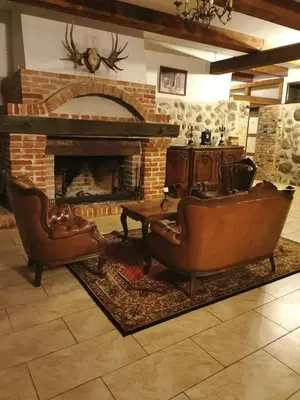 a living room with two leather chairs and a fireplace at Taujėnų dvaro rūmai in Towiany