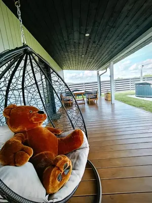 a brown teddy bear sitting in a swing at Sodyba Miško pakrašty in Gailiūnai