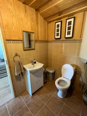 a bathroom with a toilet and a sink at Namelis prie Čiobiškio kelto