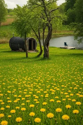 a field of dandelions in front of a lake with a tree at Kvapu sodyba