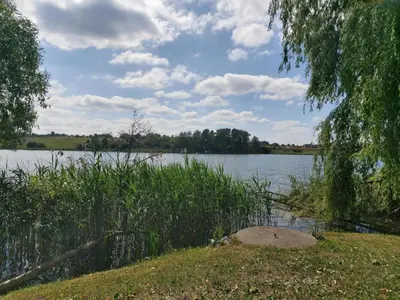 a view of a lake with trees and grass at Light House in Vilnius