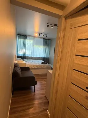 a living room with a bed and a couch in a room at Studio apartment ll in Vilnius