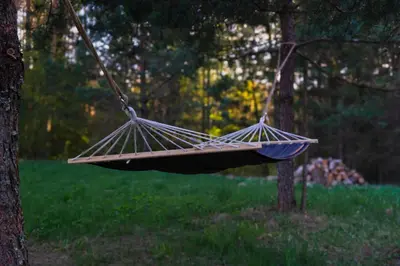 a hammock hanging from a tree in a park at MyRetreat - cabin for two