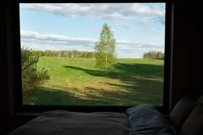 a window with a view of a tree in a field at MyRetreat - cabin for two