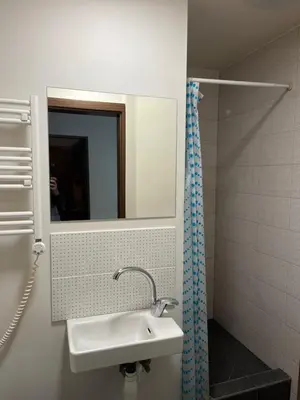 a bathroom with a sink and a mirror at Cozy Traku Studio in Kaunas