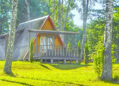a small house in the middle of a forest at Ppoilsio baze PAPARTIS in Luokesos Sen