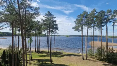 a group of trees on the shore of a lake at Ppoilsio baze PAPARTIS in Luokesos Sen