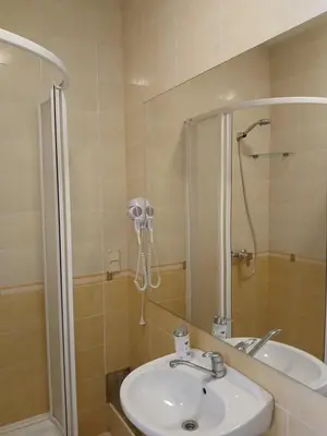 a bathroom with a sink and a shower at Big apartment in city center in Kaunas