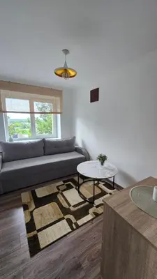 a living room with a couch and a table at Virš miesto in Utena