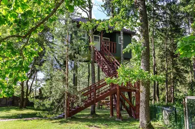 a tree house in the middle of the forest at Baba Yaga Treehouse in Meškiai