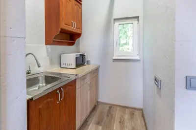 a small kitchen with a sink and a microwave at Baba Yaga Treehouse in Meškiai
