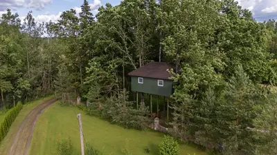 an overhead view of a house in the woods at Baba Yaga Treehouse in Meškiai