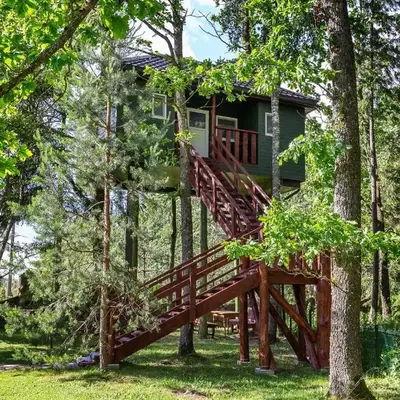 Baba Yaga Treehouse