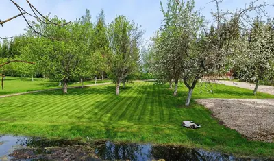 a park with trees and a body of water at Atokvėpis Alantos kaime in Alanta