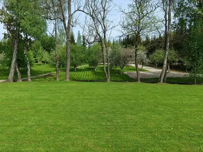a field of green grass with trees in it at Atokvėpis Alantos kaime in Alanta