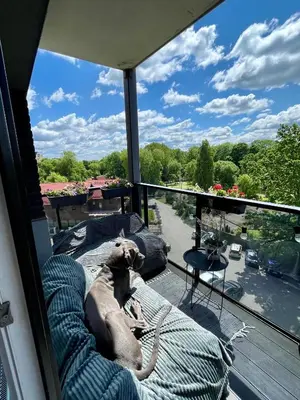a dog laying on a dog bed on a balcony at Cashmere apartment in Žaliakalnis in Kaunas