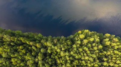 an overhead view of a forest of trees and water at Poilsio kompleksas Tolieja Vieta renginiams bei poilsiui ant ežero kranto in Kulionys