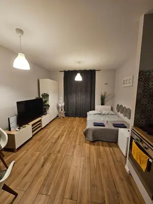 a large room with a bed and a television at Modern flat in Vilnius