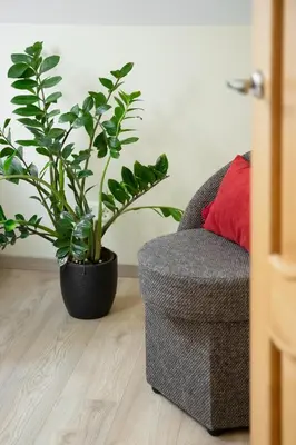 a living room with a chair and a plant at Old Town Apartment in Jonava