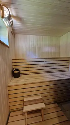 a sauna with a wooden bench and a potted plant at Viensėdis in Anykščiai