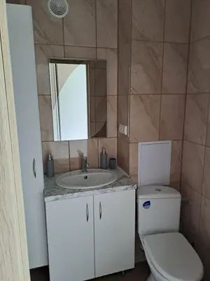 a bathroom with a toilet and a sink and a mirror at Prie Agluonos in Biržai