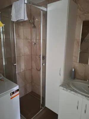 a bathroom with a shower and a sink at Prie Agluonos in Biržai