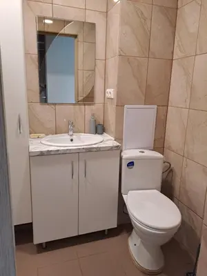 a bathroom with a toilet and a sink and a mirror at Prie Agluonos in Biržai