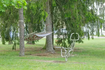 a hammock hanging from a tree in a park at Medical SPA 